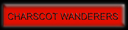 Banner Advertisement
